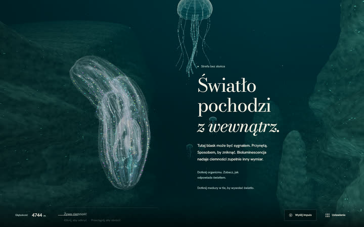 NEREID - cyfrowa ekspedycja w głąb oceanu, koncept immersyjny